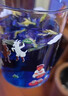 苓仙谷蝶豆花50g干花搭白涼粉冰粉檸檬片洛神花商用調染色藍蝴蝶玫瑰茄 【精選罐裝】蝶豆花50g 曬單實(shí)拍圖