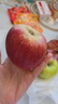 正宗25年新果云南昭通冰糖心丑蘋(píng)果新鮮水果現摘脆甜野生富士蘋(píng)果 10斤凈重85-90mm 曬單實(shí)拍圖
