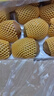 佳沛（zespri）新西蘭陽光金奇異果原箱 16粒巨無霸 單果重約202-230g   獼猴桃 曬單實拍圖