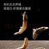 1號(hào)會(huì)員店精選鹽田有機(jī)白蝦 海鮮食材 無抗養(yǎng)殖 有機(jī)鹽田白蝦 1kg/袋 曬單實(shí)拍圖