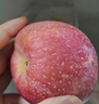 京鮮生山東煙臺(tái)紅富士蘋果 5斤裝單果75-80mm生鮮水果 源頭直發(fā) 包郵 曬單實(shí)拍圖