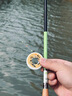 響貓小物釣線組專用白條馬口鳑鲏?mèng)~鉤魚線小物漂套裝成品溪流線組 曬單實(shí)拍圖