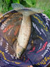 西部風(fēng)（Xibu feng） 西部風(fēng)老壇甜薯玉米窩料野釣鯽鯉草青魚打窩釣魚餌料發(fā)酵底窩料 老壇甜薯玉米2袋 曬單實(shí)拍圖