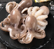 一蝦一世界鮮活冷凍小八爪魚 三去迷你章魚仔去齒去內(nèi)臟 火鍋燒烤年夜飯食材 無冰大號 3斤(凈重)  【免處理】 曬單實拍圖