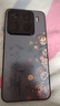 小米（MI）15 Pro 16+512 巖石灰 徠卡光學(xué)高速鏡頭 驍龍8至尊版移動(dòng)平臺(tái) 小米紅米手機(jī)【贈(zèng)話費(fèi)券】國家補(bǔ)貼 曬單實(shí)拍圖