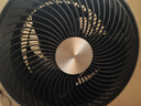 格力（GREE）空氣循環(huán)扇直流變頻遙控電風(fēng)扇家用搖頭電扇一級能效換氣扇循環(huán)對流風(fēng)扇落地扇 FSTZ-20X60Bg3 曬單實拍圖