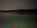 六魚漂尾咬鉤變色高靈敏硬尾漂日夜兩用漂魚漂漂浮夜光漂電子硬尾魚漂 Y8深水鯽鯉-吃鉛2.2g漂長50cm 【咬鉤變色+1顆電池】 曬單實拍圖