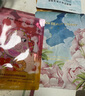 FAN BEAUTY DIARY面膜沐浴蜜套裝 芍藥面膜+沐浴蜜350ml 清爽不粘膩 曬單實拍圖