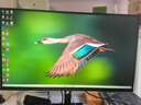 邪手高端臺式電腦游戲臺式機電腦主機全套整機（i5 13490F/RTX5060/1T/32G）國家補貼20% 曬單實拍圖