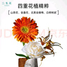 三生花百雀羚出品 乳液100ML 控油清肌補水保濕油皮適用護膚品 油皮摯愛(ài) 曬單實(shí)拍圖