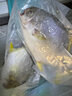 翔泰海南深海金鯧魚700g 2條 燒烤 火鍋 生鮮魚類 BAP認證 海鮮水產(chǎn) 曬單實拍圖
