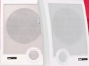 先科（SAST）D45A 壁掛音響 音箱掛壁式喇叭 背景音樂(lè )公共廣播系統餐廳門(mén)店商場(chǎng)超市會(huì )議定壓無(wú)源喇叭 白色 曬單實(shí)拍圖