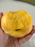 京鮮生 山東棲霞紅富士蘋果精品12粒 單果190g-240g  生鮮水果 禮盒 曬單實(shí)拍圖