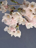 優(yōu)鮮沛（OceanSpray）智利進(jìn)口 蔓越莓干蜜餞果干烘焙原料休閑零食 原味907g 曬單實(shí)拍圖