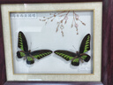 康佳（KONKA）電熱水壺 304不銹鋼雙層防燙 1.8L大容量 燒水壺暖水壺開水壺電水瓶 KEK-W1806 曬單實(shí)拍圖