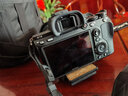 索尼（SONY）全畫幅微單相機(jī) ILCE-7M3/A7M3 vlog視頻 索尼a7m3 A7M3單機(jī)身 官方標(biāo)配 曬單實(shí)拍圖