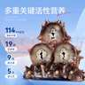 獐子島 大連特產高端海味禮盒920g燒汁鮑魚燒烤大蝦三文魚扇貝大禮包送 曬單實拍圖