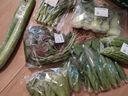 上海青約400g 曬單實(shí)拍圖