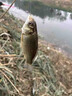 誘魚燈水下聚魚燈黑坑野釣超聲波探魚器通殺釣魚神器夜釣燈釣魚燈 買2送1【百米魚群全都來】 曬單實(shí)拍圖