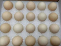 1號會員店One's Member葉黃素可生食標準鮮雞蛋 20枚 單枚55g 源頭直發(fā) 曬單實拍圖