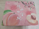 陽(yáng)山水蜜桃 正宗無(wú)錫陽(yáng)山水蜜桃 晚湖景時(shí)令水果桃子 節(jié)日禮盒送禮 一級(jí)果5-6兩12個(gè)禮盒裝凈重6斤多 曬單實(shí)拍圖