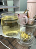 物生物（RELEA）茶杯男女士茶水分離杯玻璃杯帶過(guò)濾水杯辦公泡茶杯子耐高溫花茶杯 曬單實(shí)拍圖