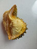 梓頤泰國(guó)金枕榴蓮新鮮果整箱長(zhǎng)柄榴蓮金枕頭進(jìn)口A果整個(gè)帶殼熱帶水果 商超級(jí)|30年老樹(shù)果 老樹(shù)報(bào)恩凈重2.5-3.5斤1個(gè)裝 曬單實(shí)拍圖