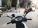 工馬踏板摩托車后視鏡新本仿UY125反光鏡新悅星125倒車鏡子配件 新本UY后視鏡1對價 8mm正絲牙 曬單實拍圖