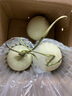 粵迎玉菇甜瓜冰淇淋香甜瓜當季軟糯香甜山東水果綠肉當季現(xiàn)貨應季生鮮 5斤精選果【單果2-5個】凈4.5斤 曬單實拍圖