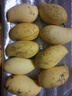 云南鷹嘴芒果 應季新鮮熱帶水果甜心芒整箱 鷹嘴芒3斤單果100-150g 曬單實拍圖