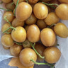山姆伯伯廣東雞心黃皮果【順豐閃送】無(wú)核黃皮新鮮水果禮盒 3斤【巨劃算 | 20%選擇】?jī)?.1斤 7A級(jí)精選果丨保溫箱+冰袋 曬單實(shí)拍圖