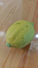 [果園現發(fā)]廣東黃香水檸檬新鮮香水檸檬奶茶專(zhuān)用產(chǎn)地源頭直發(fā) （帶箱2斤 約8-12顆） 黃香水檸檬單果70g起 曬單實(shí)拍圖