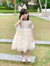 G.DUCKKIDS小黃鴨童裝公主裙女童裙子夏季兒童連衣裙女孩禮服夏款亮片蛋糕裙 銀色 120 尺碼5~6歲【110-120cm】cm 曬單實(shí)拍圖