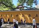 祈福普陀山 祈福普陀山一日游 成人 曬單實(shí)拍圖