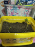 貝意品兒童種植小盆栽向日葵花種子四季開花幼兒園植物觀察盒小學(xué)生禮物 曬單實(shí)拍圖