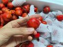 看得健【小喬農場(chǎng)】山楂果新鮮山楂鮮果冰糖葫蘆紅果孕婦水果酸甜 山楂大果5斤裝 曬單實(shí)拍圖