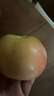果陸園JD送貨上門(mén)紅富士蘋(píng)果新鮮水果當季整箱現摘早熟冰糖心富士小蘋(píng)果 整箱5斤精選70-90MM凈4.5斤 曬單實(shí)拍圖