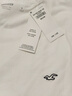 HOLLISTER小海鷗圖案25秋新款情侶棉質(zhì)短袖T恤男裝女裝324-5587 白色 M (180/100A) 曬單實(shí)拍圖