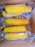 北緯媽咪黃糯玉米3.2斤（200g*8根）東北鮮甜糯玉米 黏粘玉米棒真空包裝 曬單實(shí)拍圖