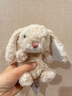 Jellycat米色甜美小兔小短腿公仔動(dòng)物毛絨玩偶娃娃生日七夕情人節(jié)禮物 甜美小兔 One Size 曬單實(shí)拍圖