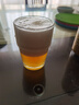 獅王精釀啤酒 燕京啤酒 麥汁濃度12度德式白啤 燕京獅王精釀白啤 獅王白啤 1L 6瓶 整箱裝 曬單實(shí)拍圖