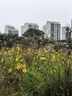 牧高笛（MOBIGARDEN）冷山帳篷 戶外徒步露營防風(fēng)防雨大空間雙層三季鋁桿帳篷 【經(jīng)典版】雙人-暖沙色 曬單實(shí)拍圖