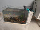 寵小帥適用小米魚缸擺件水族箱造景原生態(tài)南美風(fēng)布景溪流石金魚缸裝飾品 【南美青龍石】造景套餐 曬單實(shí)拍圖