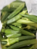新鮮現(xiàn)摘水果秋葵清脆爽口蔬菜黃秋葵產(chǎn)地直發(fā)鮮嫩羊角豆涼拌菜 5斤裝一級果【現(xiàn)摘現(xiàn)發(fā)】 曬單實(shí)拍圖