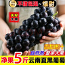 黃六爺 云南夏黑葡萄無(wú)籽葡萄5斤新鮮應當季黑加侖提子孕婦水果整箱包郵 【果園采摘 香甜爆汁】 1000g【2串】新鮮超甜 無(wú)籽暢吃 曬單實(shí)拍圖