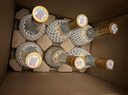 汾酒53度黃蓋玻汾 清香型高度白酒 口糧酒 原箱裝 53度 475mL 12瓶 整箱裝 口糧酒 曬單實拍圖