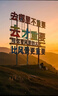 嶗山啤酒（laoshan beer）清爽 330ml*20聽(tīng) 青島嶗山啤酒 麥香清新口感清爽 330mL 20罐 整箱裝 曬單實(shí)拍圖