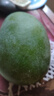 正宗凱特芒果 肉厚甜心芒熱帶當(dāng)季新鮮水果整箱 帶箱2斤單果300g+ 曬單實拍圖