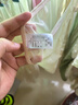莫代爾蕾絲內褲女性感純欲無(wú)痕抗菌四季款高級緞面內褲三角內褲3條裝L 曬單實(shí)拍圖