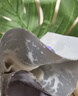 歐詩漫（OSM）珍珠曬后面膜美白補水淡斑提亮膚色煙酰胺保濕護膚品生日禮物女 曬單實拍圖